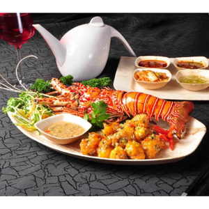 38 x 25 cm (15”x 10”) Serving Platter, 25 pack - Greenovation - Eco Dinnerware