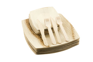 Party Eco Dinnerware Set of 400 pcs | 6" & 10" Square Plates