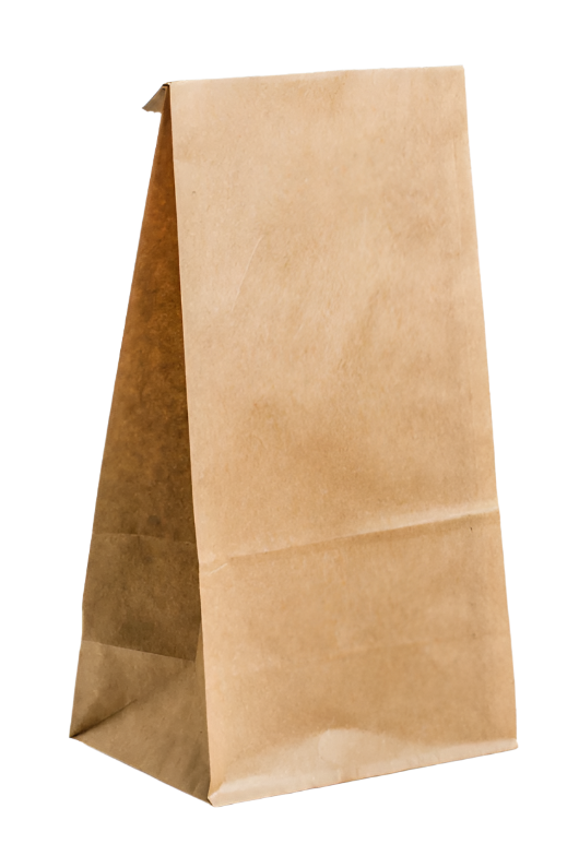 Paper Bag 20lb - 500/case