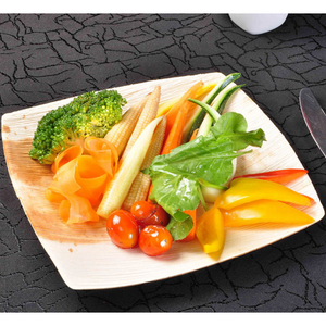 26 x 26 cm (10.5”) Qudrato Square Plates, 25 pack - Greenovation - Eco Dinnerware