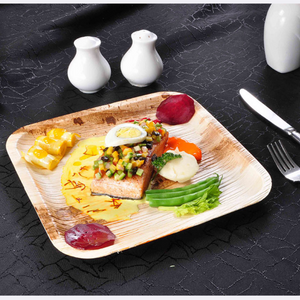 25 x 25 cm (10") Flat Square Plates, 25 pack - Greenovation - Eco Dinnerware